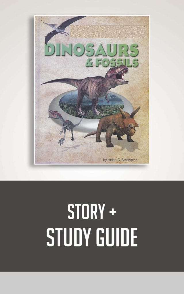 Dinosaurs and Fossils Story + Study Guide